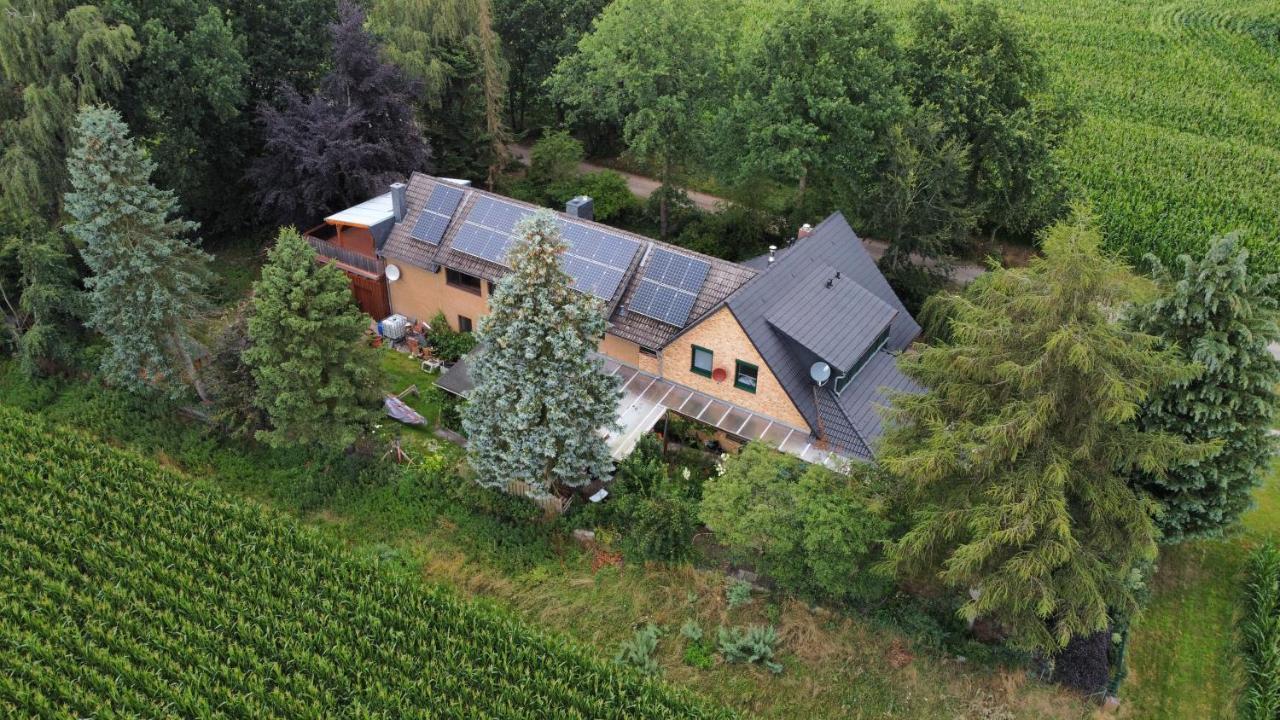 Gabis Ferienwohnung Bendingbostel Zewnętrze zdjęcie